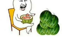 吃瓜娱乐圈费用,揭秘明星八卦背后的费用真相